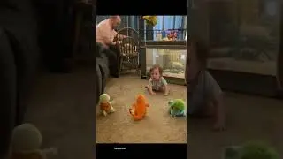 Cute baby choosing its starter Pok&eacute;mon #shorts #cute #cutebaby #pokemon