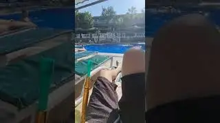 Shisha Resort | Konakli, Alanya, T&uuml;rkei - Resort 2022 Hookah Nargile