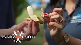How This Public Garden in Florida Offers a Taste of the Globe