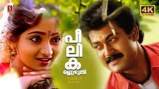 Peelikkannezhuthi | Video Song | Snehasagaram | Manoj K Jayan | Sunitha | G Venugopal | K S Chithra