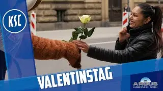 Valentinstag mit Willi