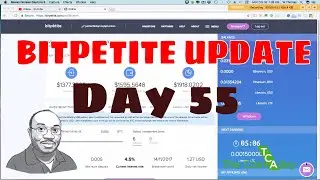 BITPETITE UPDATE- Day 55 || BEST INVESTMENT?? OVER $2K EARNED||CELEBRATING MILESTONES