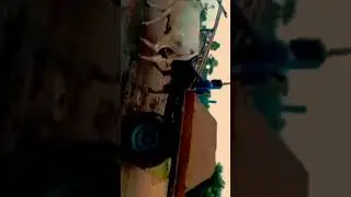 ongolu bulls pulling sand #mvg ongolu bulls # short videos#___________