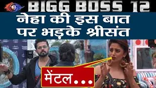 Bigg Boss 12: Neha Pendse's THIS statement makes Sreesanth ANGRY; Know Here | FilmiBeat