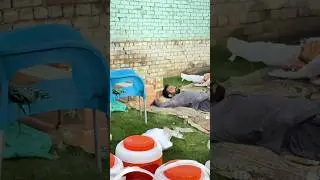 Buner Flood relief by Fixit.