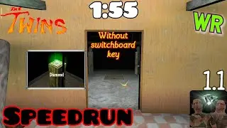 The Twins - V 1.1, World record (