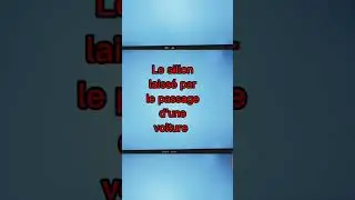 Vocabulaire 70 Orni&egrave;re