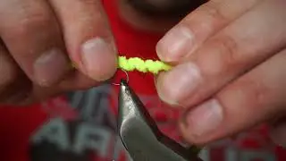 Toc wigglytail worm