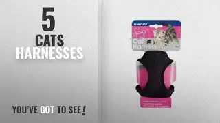 Top 10 Cats Harnesses [2018]: Ancol Soft Cat Harness and Lead Black S