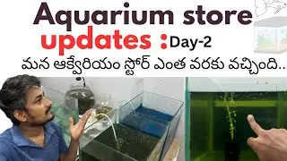 Aquarium store update | Aquarium Fish | in Telugu | Poor fish lovers