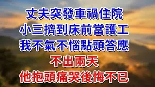 丈夫突發車禍住院，小三擠到床前當護工，我不氣不惱點頭答應，不出兩天，他抱頭痛哭後悔不已#阿木講故事#為人處世#生活經驗#情感故事#養老#睡前故事