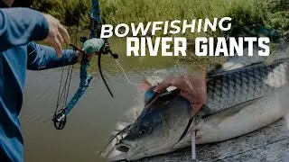 BOWFISHING for INVASIVE GIANTS on the Missouri River (Common/Grass/Buffalo Carp)