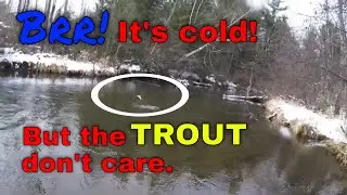 Catching Brown Trout in the Winter (spinner fishing for Brown Trout)