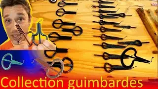 Collection 108 Guimbardes: trucs et astuces, conseils, qualité