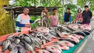 Terrible Rural Village Fish Market And Excellent Fish Cutting Road Show In Sri Lanka
