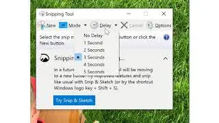 Delay Feature in Snipping Tool