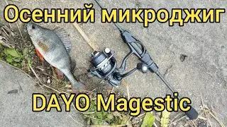 Его Величество - DAYO Magestic. Ловля окуня на микроджиг в ноябре.