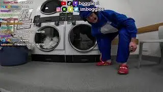Ёж Соник застрял в стиральной машине в прямом эфире