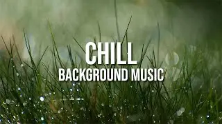 Chill Background Music (Free Music No Copyright)