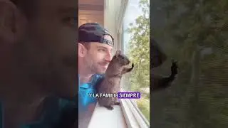 the squirrels ended up becoming good friends with us#animals #Friendship #Us