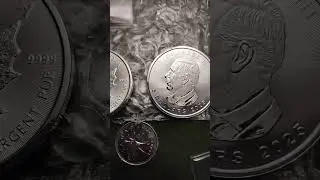 King Charles III Canadian 1oz Silver Maple $5 coin.