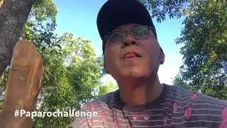 Birthday Challenge 2020