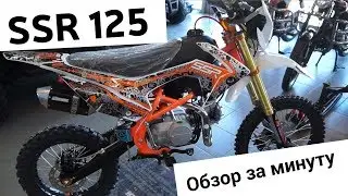 Питбайк SSR 125 (SSSR с 2017 года). 
