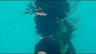 Procus Rush Action Camera Water Test (720p at 60fps)