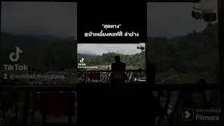 ป่าเหมี้ยงคอฟฟี่ ลำปาง