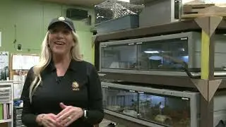 Moorpark College America's Teaching Zoo