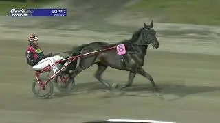 Gävletravet Lopp 7 25 12 27