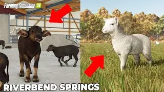 A Dream Farm in FS25! Sheep Pasture, Buffalo Barn, and Landscaping | FARMING SIMULATOR 25