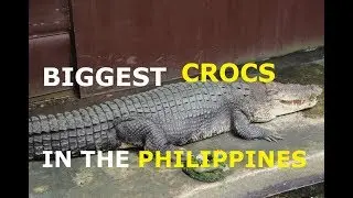 Puerto Princesa Day Tour (part 1)