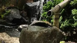 Shishi Odoshi | Japanese Deer Scarer 10 Hours | White Noise for Studying, Sleeping, Relaxation 4K