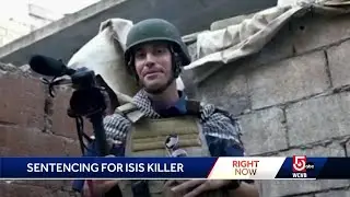Man linked to killings of James Foley, hostages sentenced