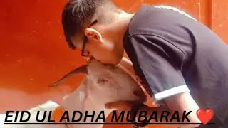 Eid Ul Adha Mubarak ❤️ AJ Bakray Kay Sath Enjoy Kiya 🤗 AJ Buhut Garmi Thi 😀