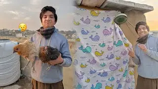 2 Murgiyan Bimar&hellip; Isliye Master Cage Ko Full Cover Kar Diya 😥🐔