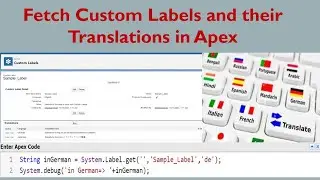 Получите пользовательские метки и их переводы в Apex.