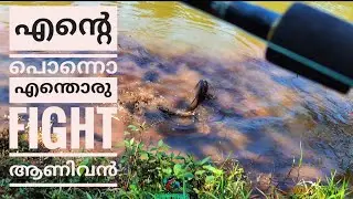 ഒരു കിടിലൻ ആറ്റുവാള പിടുത്തം, Wallago Attu fishing kerala #fishing #keralafishing #malayalamfishing
