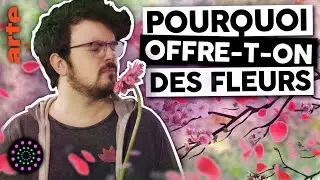 Dites-le avec des angiospermes 🌼🌷🌹 | Un Cr&eacute;atif | Le Vortex#35