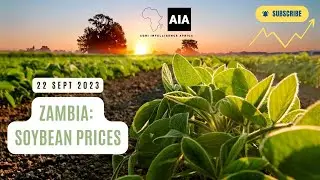 Soybean prices in Zambia | 22 Sept 2023 | African Agri Overview