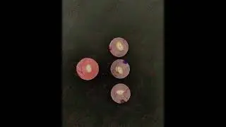 Push out test step by step at DRC