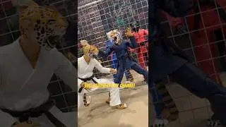 Zoo Jitsu! icon Heroes action figures! #shorts
