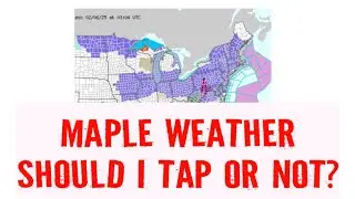 Maple Weather - Feb. 10, 2025 - Tap My Trees?