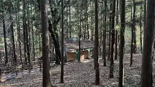 Full Video 251231 백양산숲길걷기 /수백회 제193차