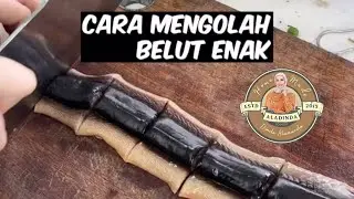 ❗️CARA MENGOLAH BELUT ENAK❗️part full❗️#resepdindaalamanda #dindaalamanda ​⁠ @dindaalamanda