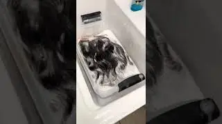 How to dye your natural black wig into brown  | Ft. Amanda Hair