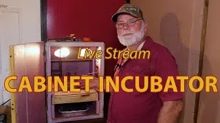 CABINET INCUBATOR - Revisited / Live Stream