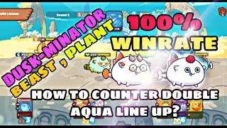 DBP (TERMI,BEAST,PLANT) ARENA GAMEPLAY | HOW TO COUNTER DOUBLE AQUA LINE UP? 🔥🔥AXIE INFINITY🔥🔥