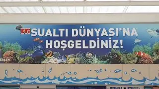Eskişehir Sazova Parkı Eti Sualtı Dünyası (Akvaryum)